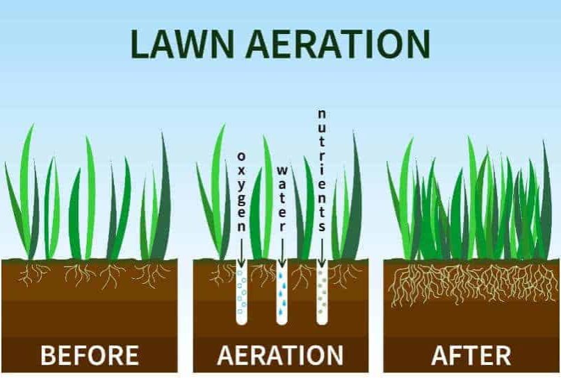 the-benefits-of-lawn-aeration